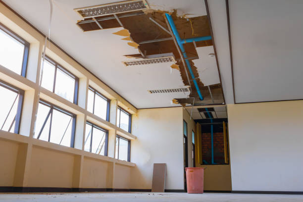 Best Ceiling water damage repair  in Harrison, NY