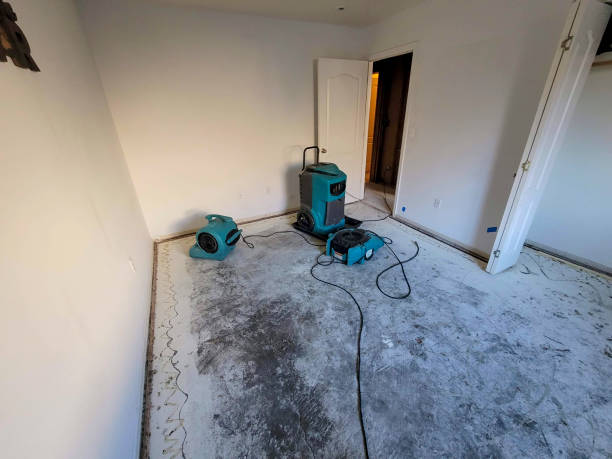 Best Flood restoration services  in Harrison, NY