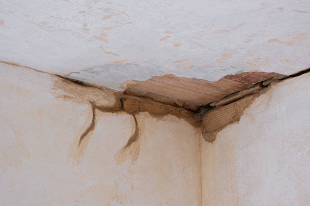 Best Fire Damage Restoration  in Harrison, NY