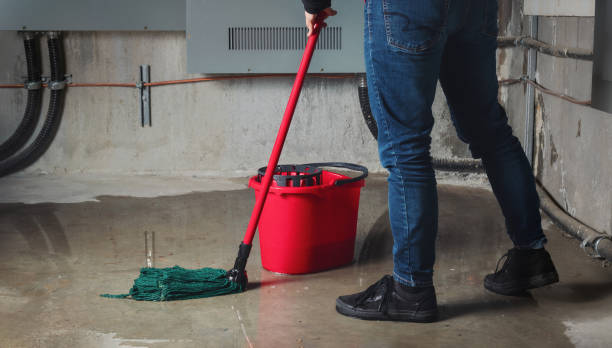 Best Mold removal after water damage  in Harrison, NY