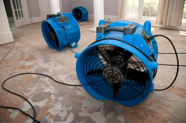  Harrison, NY Water damage restoration Pros