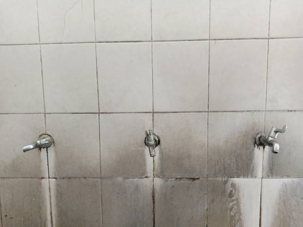 Best Local water damage restoration  in Harrison, NY
