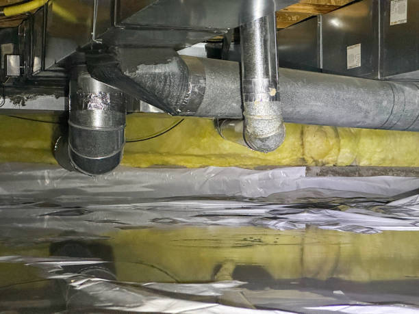 Best Local water damage restoration  in Harrison, NY