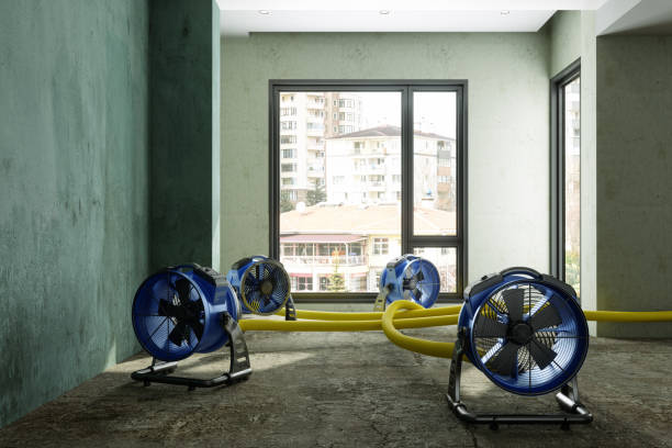 Best Fire Damage Restoration  in Harrison, NY